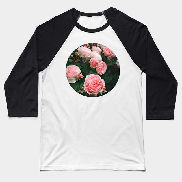 Dark Rose Baseball T-Shirt by Cassia